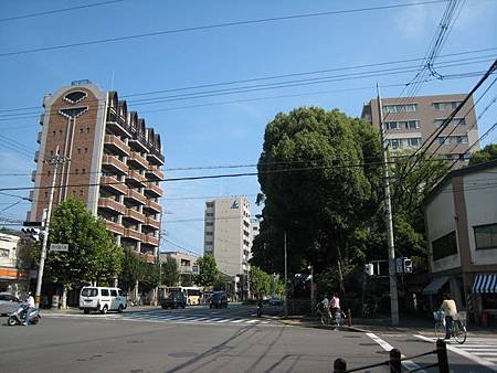 IMG_5078.jpg