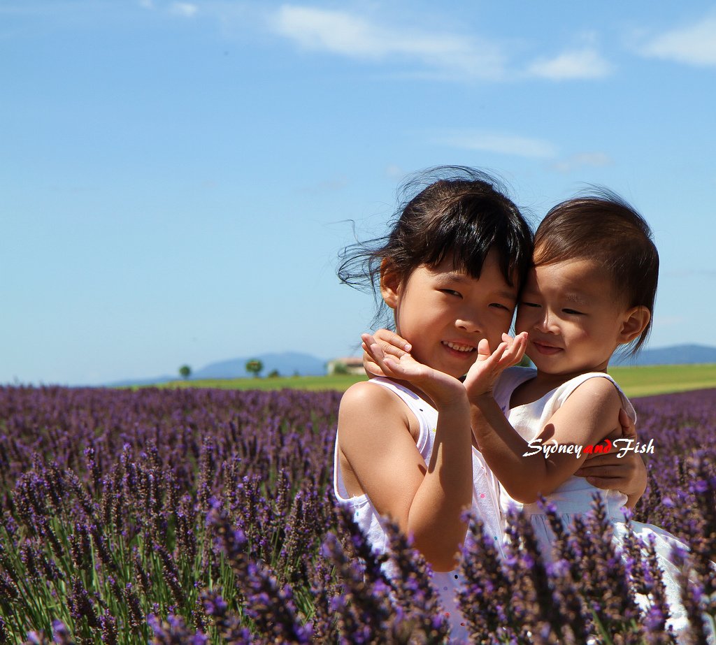 法義自由行D10 valensole 15