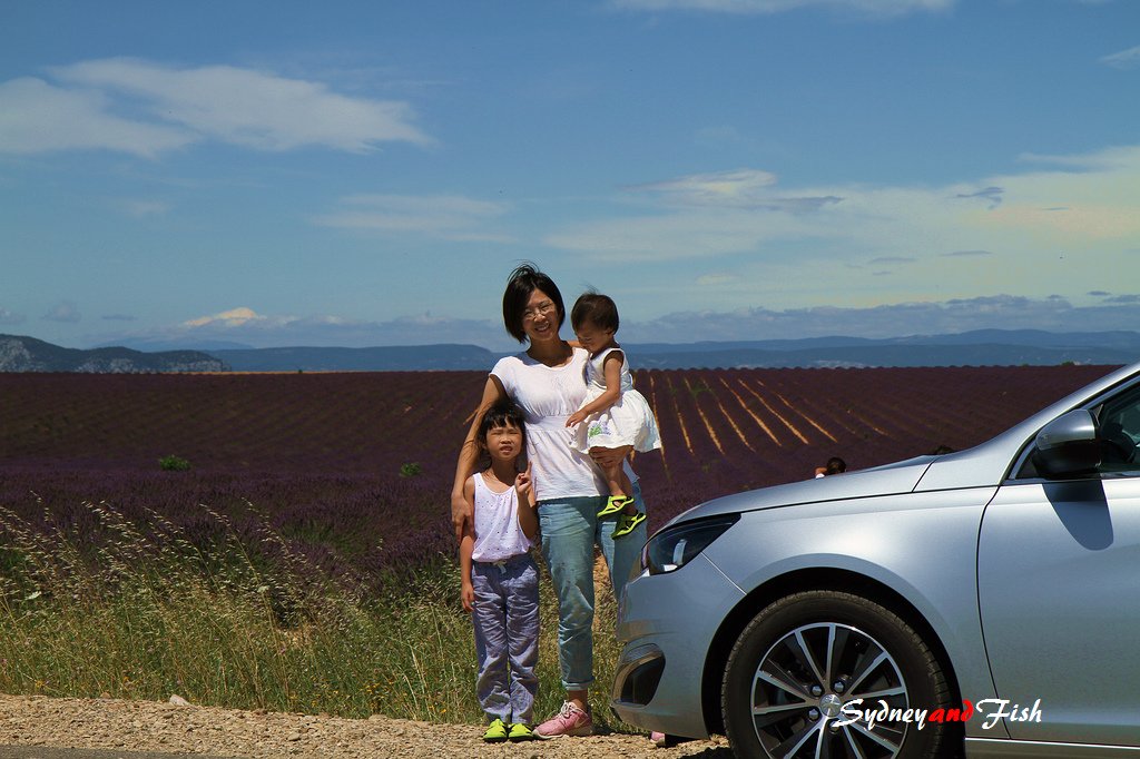 法義自由行D10 valensole 16