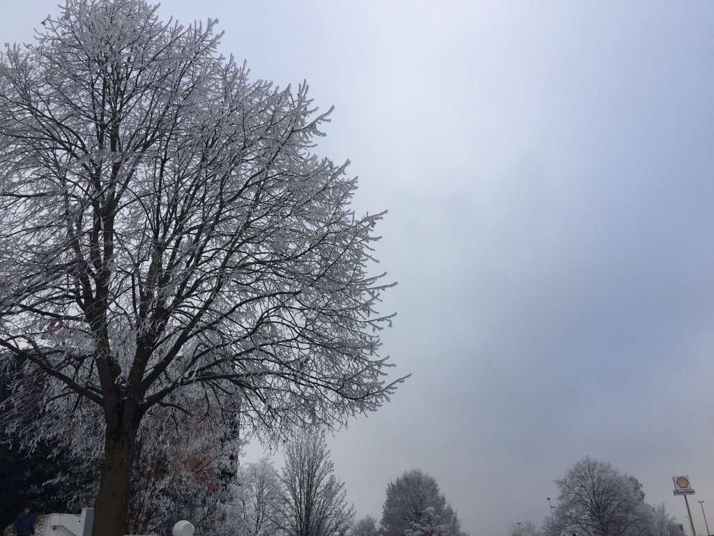 20170103_170111_0003.jpg