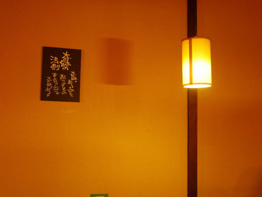 P1000457.jpg
