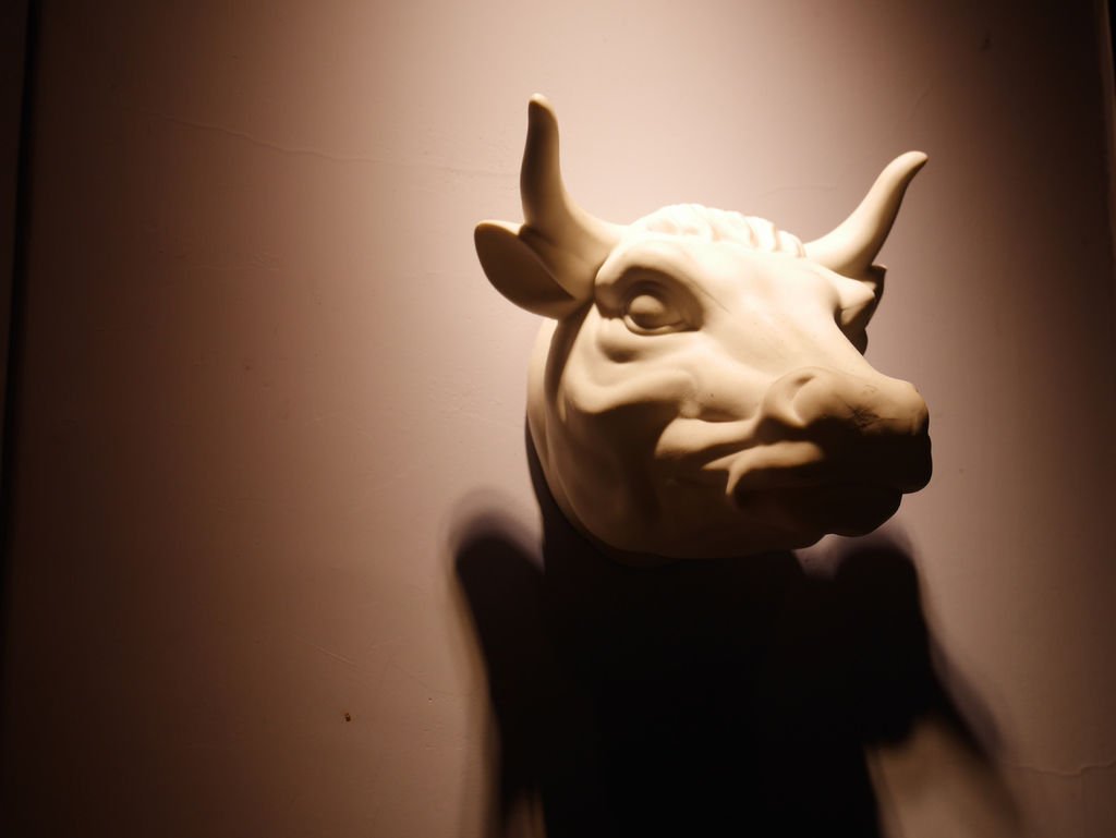 P1000350.jpg