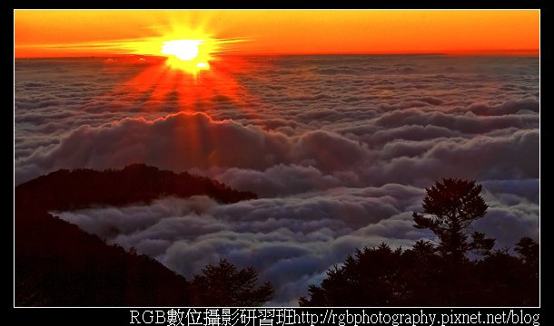 合歡山雲海.jpg