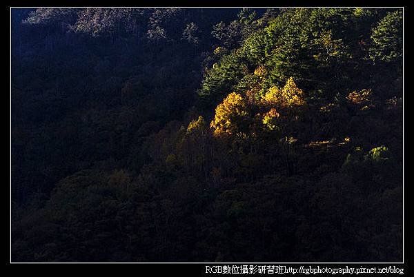 04曙光.jpg