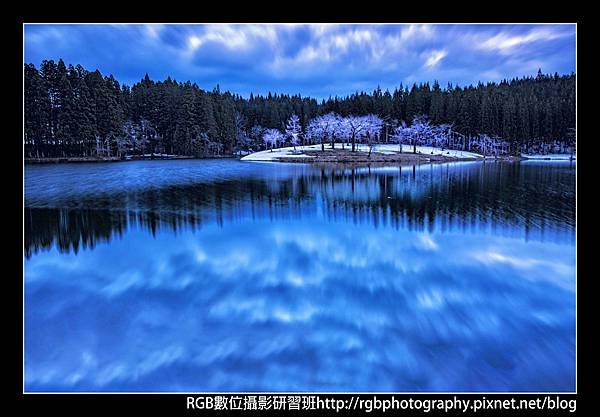 粉櫻追雲.jpg