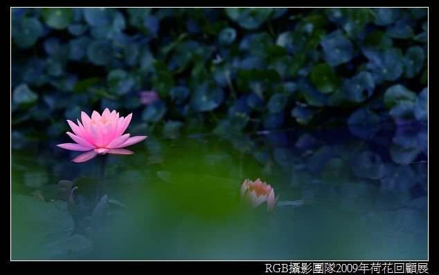 下一張(熱鍵:c)