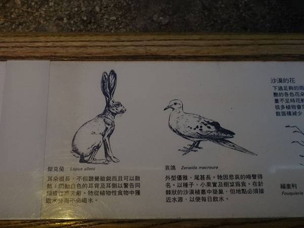 DSC01028(001)