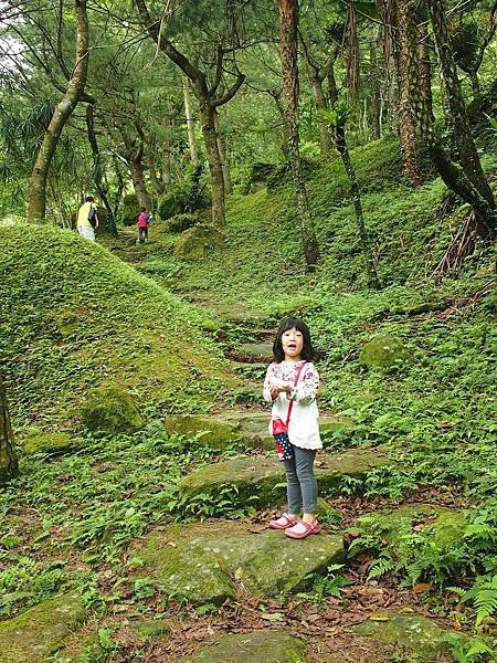 P5048386(001)