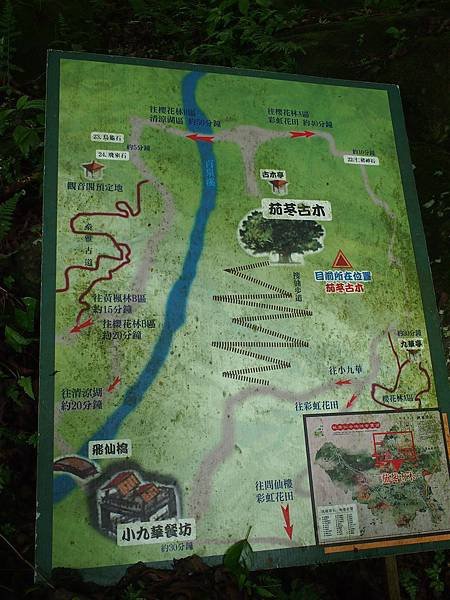 P5048414(001)