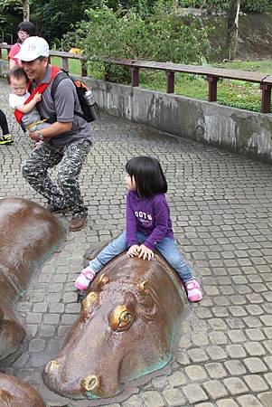 IMG_8477
