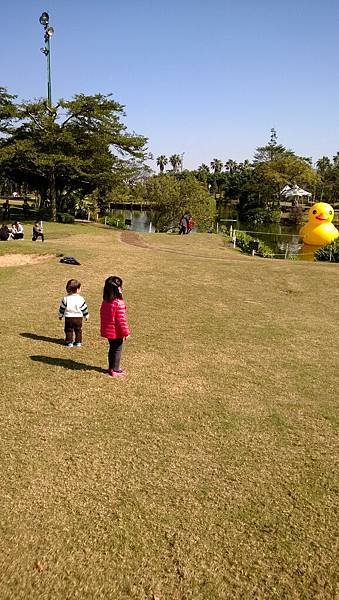 WP_20131130_001.jpg