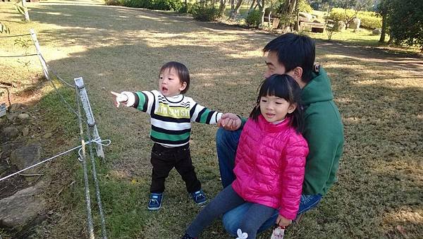 WP_20131130_026.jpg