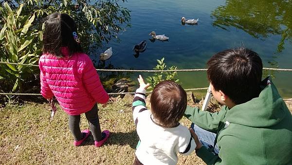 WP_20131130_032.jpg
