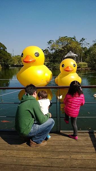 WP_20131130_038.jpg