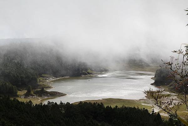IMG_9941.JPG
