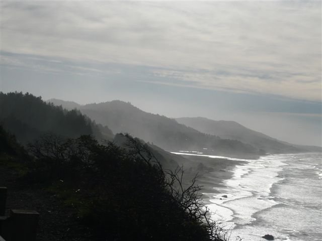 P1060006.JPG