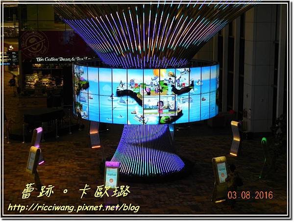 DSCN9574.JPG