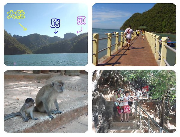 孕婦島.jpg