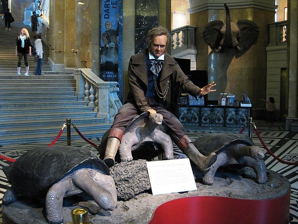 wien16.JPG