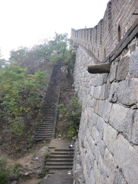 wall06.jpg