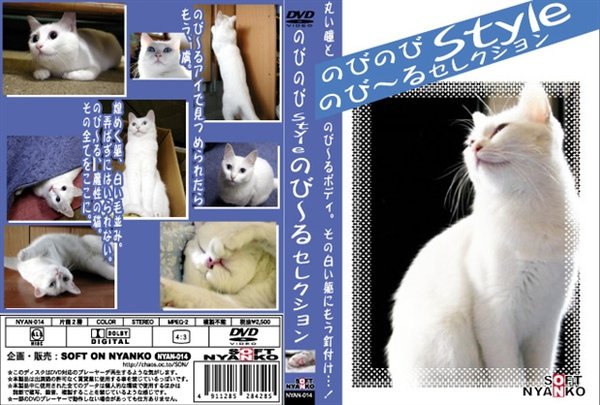 NYAN-014.jpg