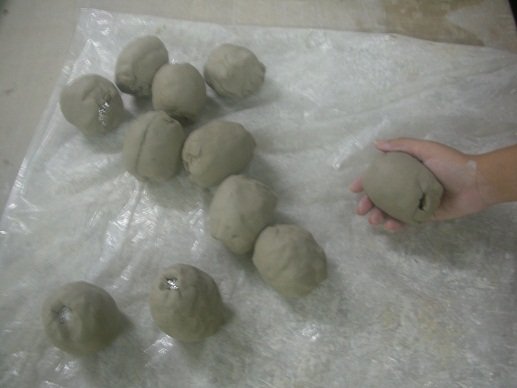 DSCN6380.jpg
