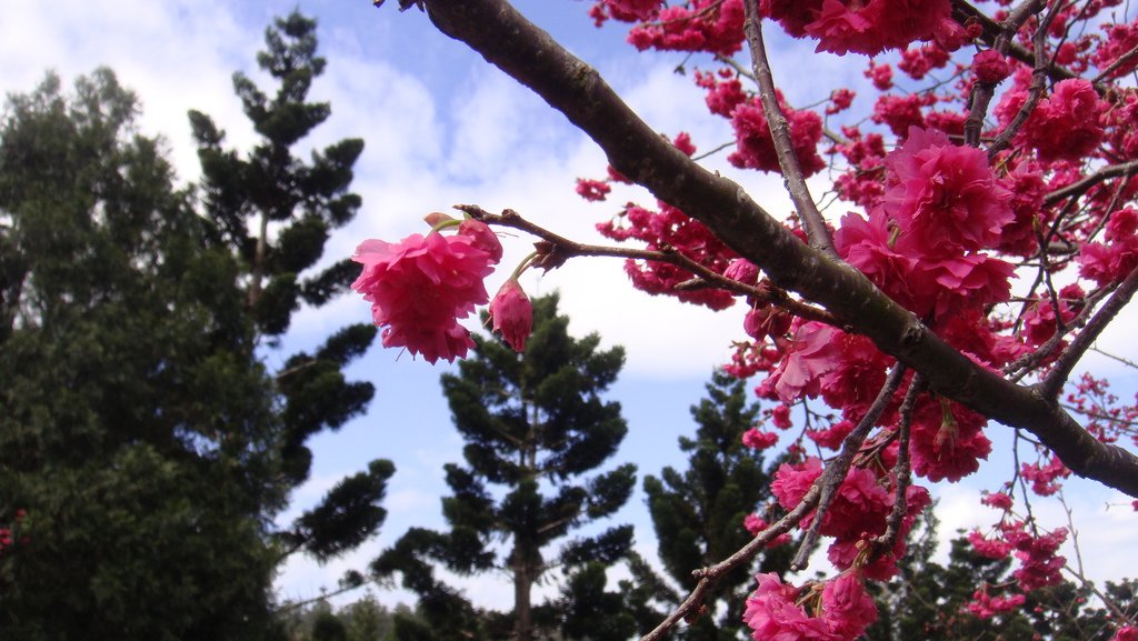 DSC02190.JPG
