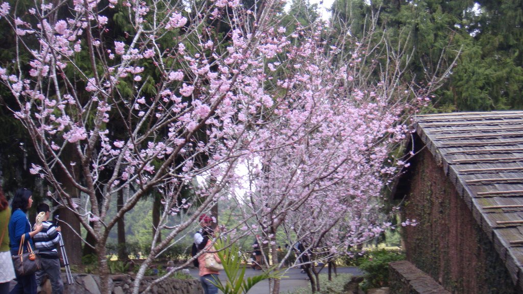 DSC02629.JPG