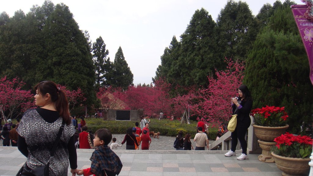 DSC02478.JPG