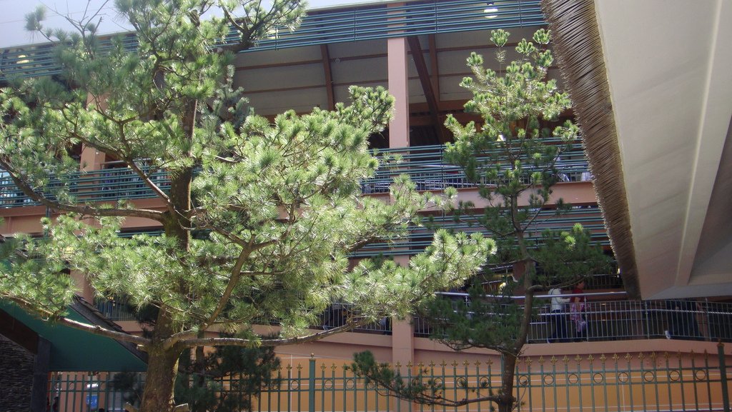 DSC02285.JPG