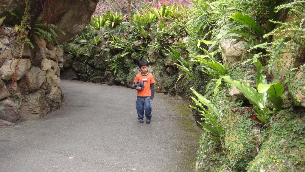 DSC02546.JPG