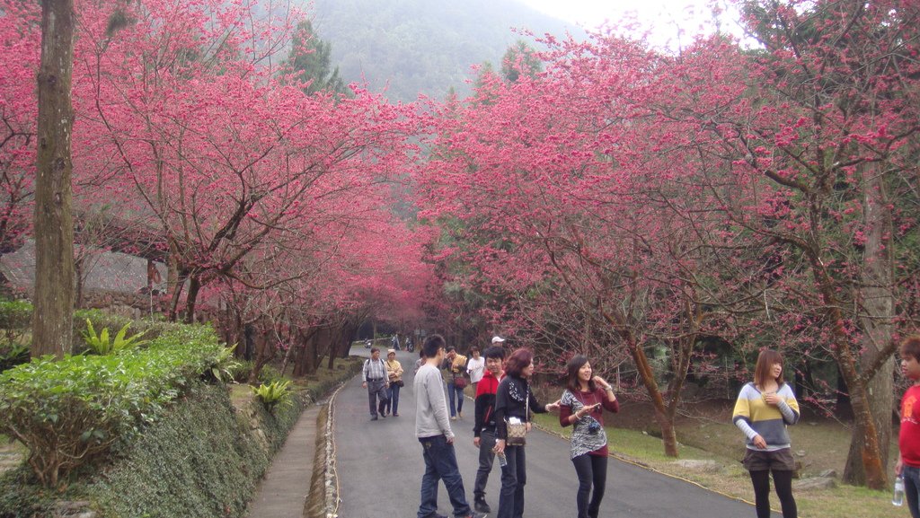 DSC02580.JPG