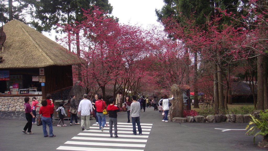 DSC02501.JPG