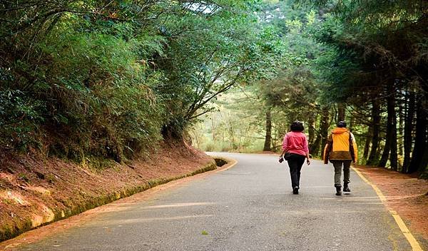 登玉山路徑
