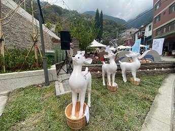 受傷水鹿.jpg