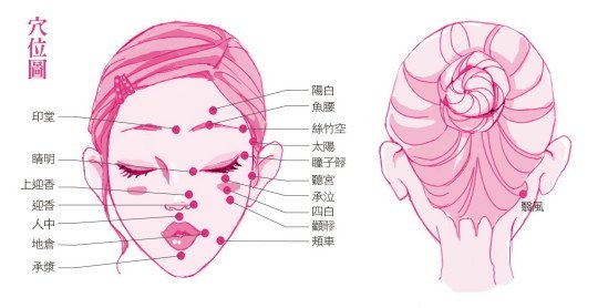 臉部刮痧排毒 造就素顏小臉美人_穴位圖 