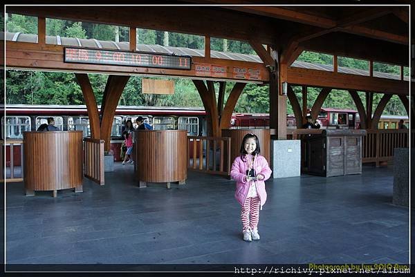 100828阿里山8出 (15)