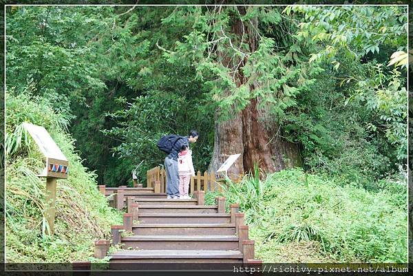 100828阿里山8出 (28)