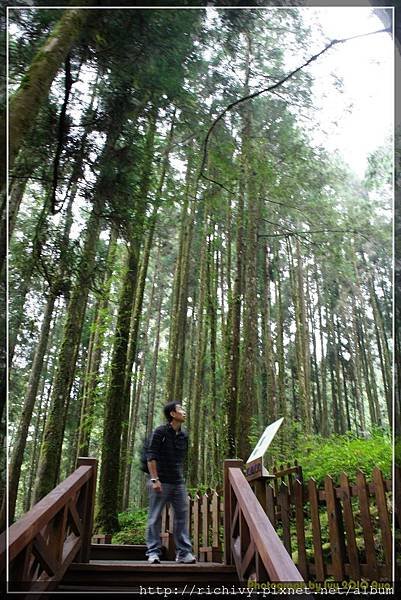 100828阿里山日出 (23)