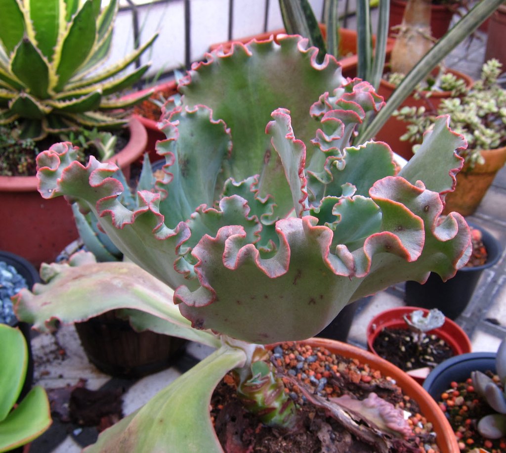 20130615_1.JPG