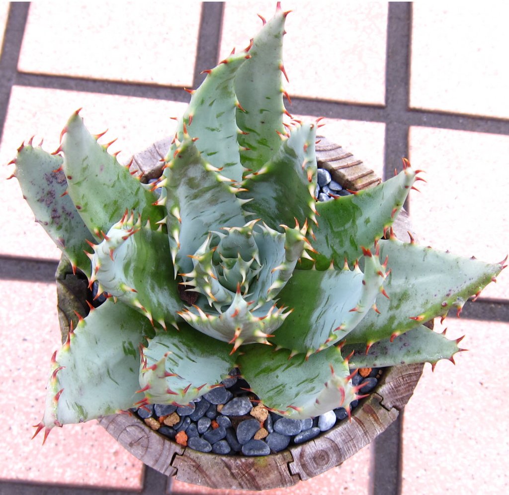 20130707_3.JPG