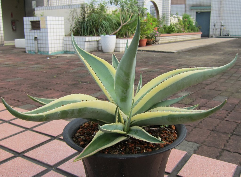 20130914_1.JPG