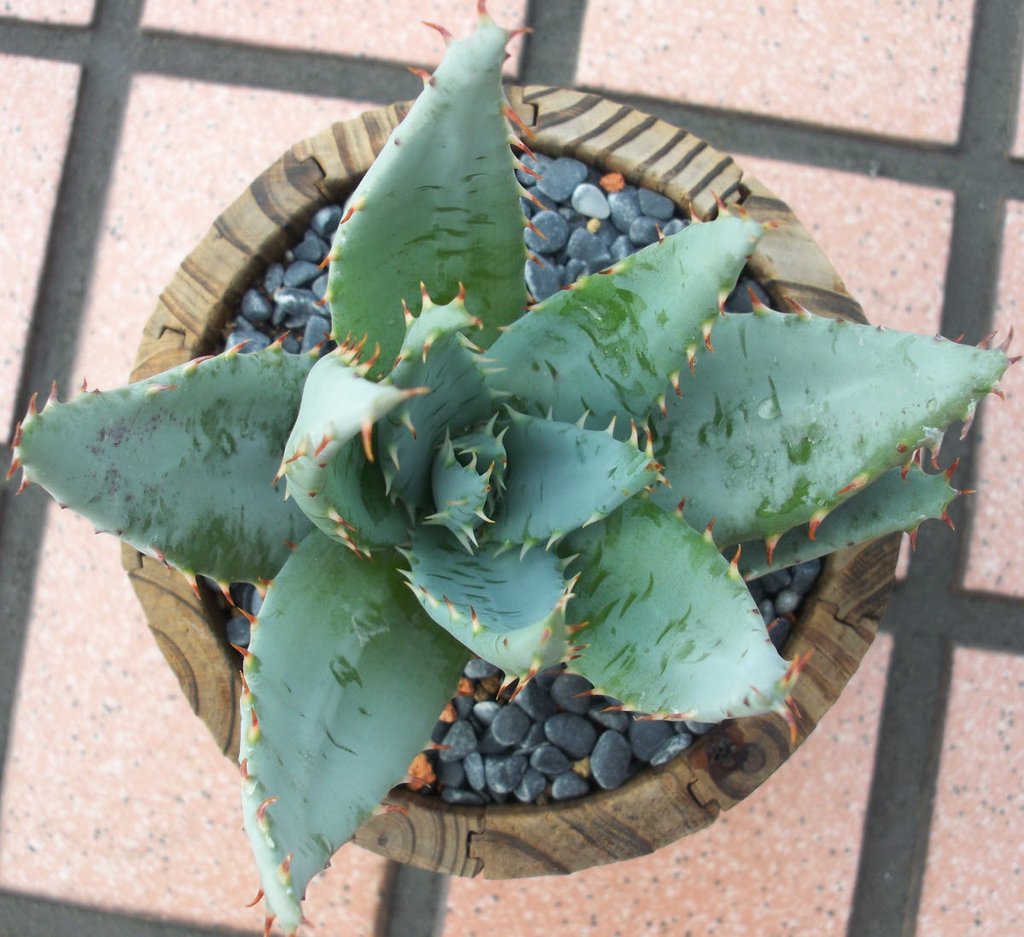 20130323_2.JPG