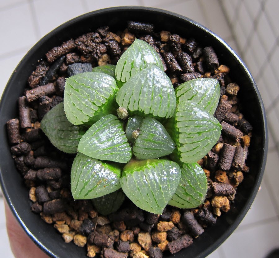 20160227.JPG