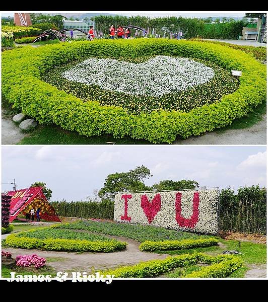 中社花市5.jpg