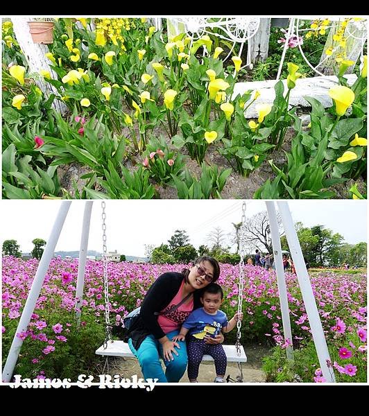 中社花市8.jpg