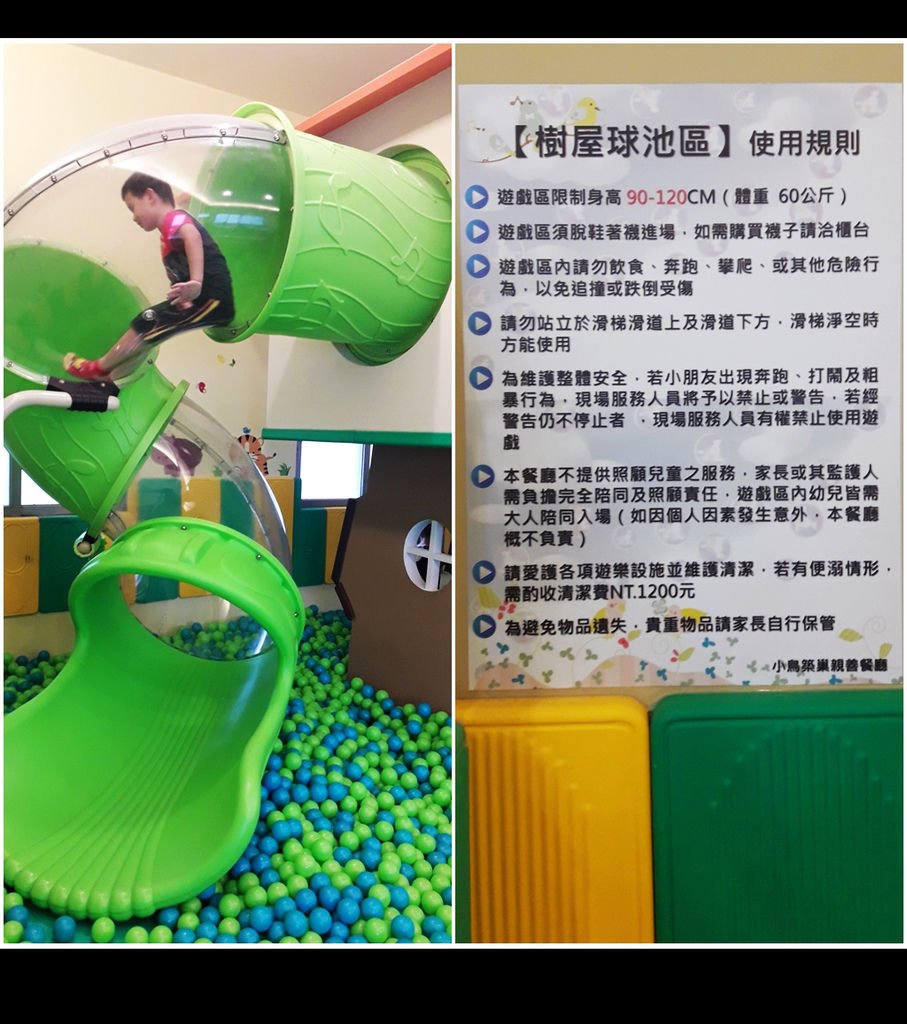 小鳥築巢2.jpg