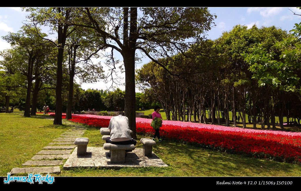 埔頂公園8.jpg