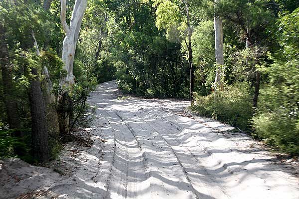 fraser-island-road.jpg