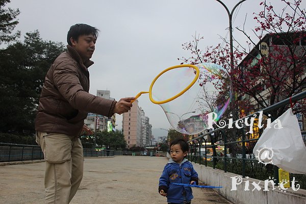 010.2.24(550D) 075.JPG